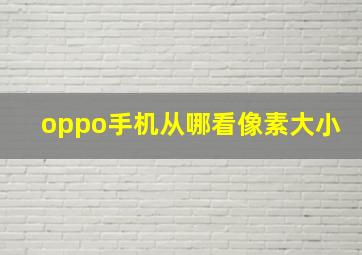 oppo手机从哪看像素大小