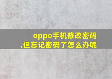 oppo手机修改密码,但忘记密码了怎么办呢