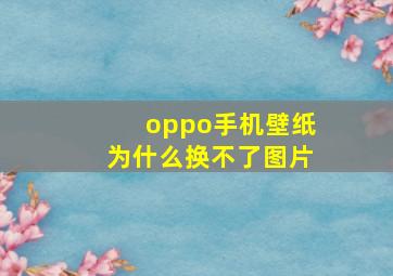 oppo手机壁纸为什么换不了图片