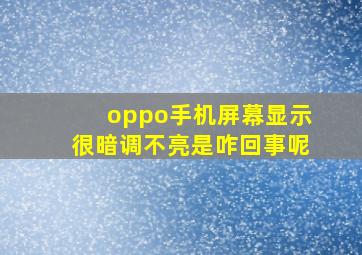 oppo手机屏幕显示很暗调不亮是咋回事呢