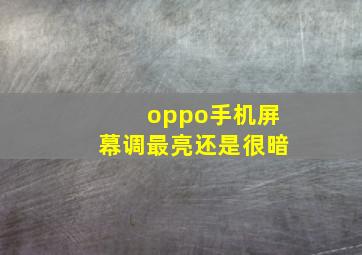 oppo手机屏幕调最亮还是很暗