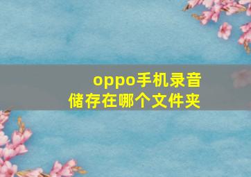 oppo手机录音储存在哪个文件夹