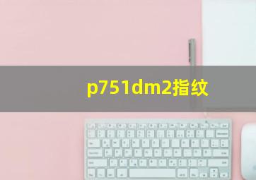 p751dm2指纹