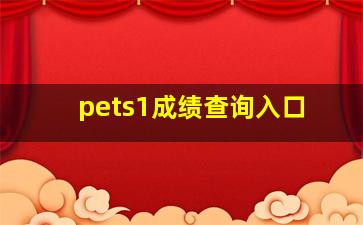 pets1成绩查询入口