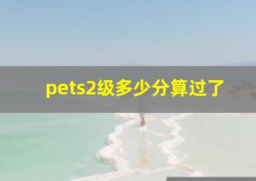 pets2级多少分算过了