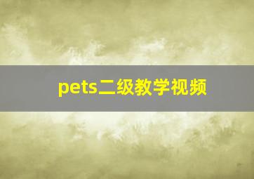 pets二级教学视频