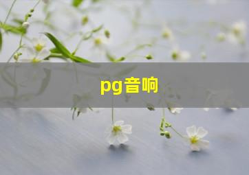 pg音响