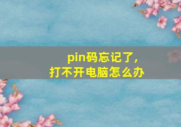 pin码忘记了,打不开电脑怎么办