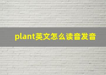 plant英文怎么读音发音