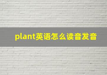 plant英语怎么读音发音