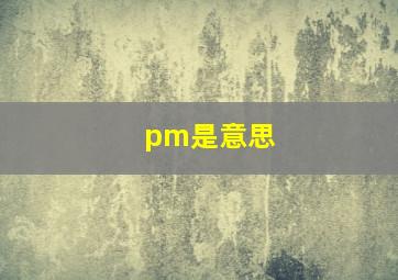 pm是意思