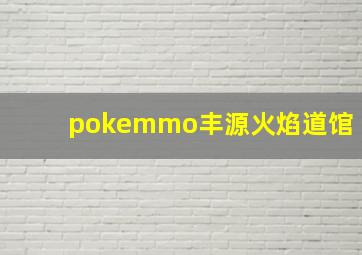 pokemmo丰源火焰道馆