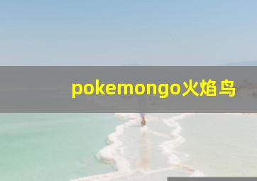 pokemongo火焰鸟