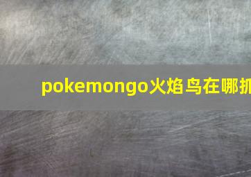 pokemongo火焰鸟在哪抓