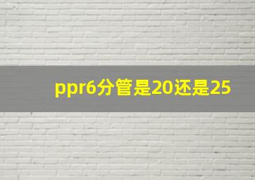 ppr6分管是20还是25