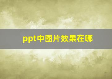 ppt中图片效果在哪