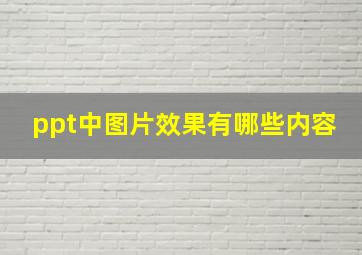 ppt中图片效果有哪些内容