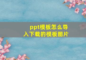 ppt模板怎么导入下载的模板图片