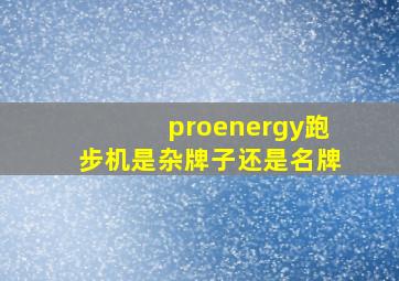 proenergy跑步机是杂牌子还是名牌