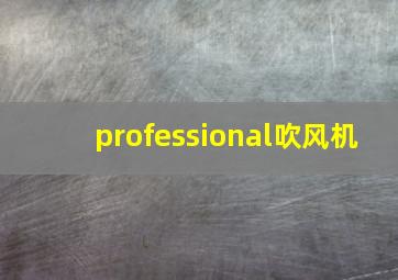 professional吹风机