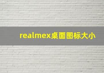 realmex桌面图标大小