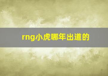 rng小虎哪年出道的