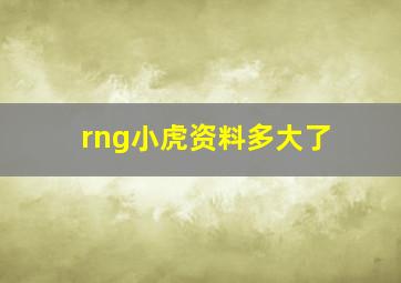 rng小虎资料多大了