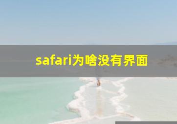 safari为啥没有界面