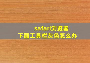 safari浏览器下面工具栏灰色怎么办