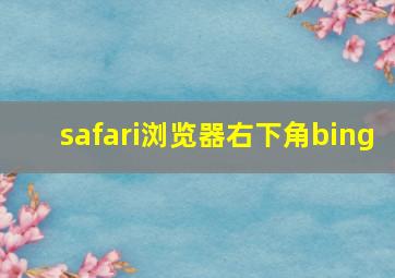 safari浏览器右下角bing