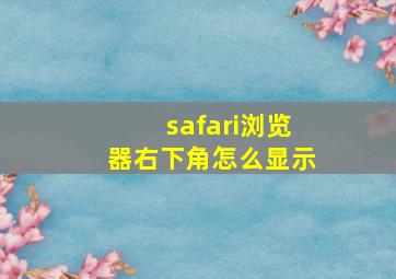 safari浏览器右下角怎么显示