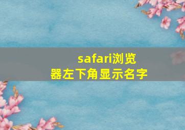 safari浏览器左下角显示名字