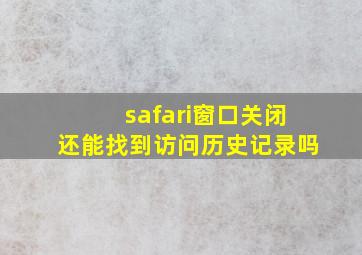 safari窗口关闭还能找到访问历史记录吗