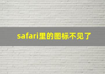 safari里的图标不见了