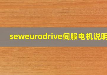 seweurodrive伺服电机说明书