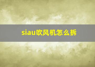 siau吹风机怎么拆