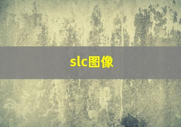 slc图像