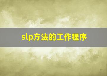 slp方法的工作程序