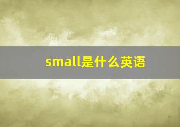 small是什么英语