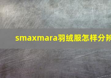 smaxmara羽绒服怎样分辨