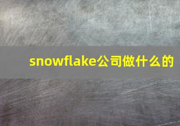 snowflake公司做什么的