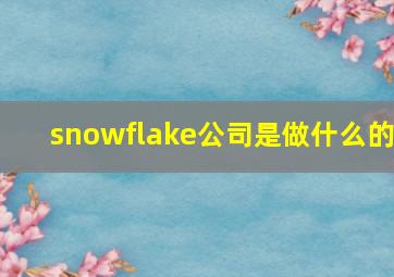 snowflake公司是做什么的