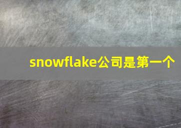 snowflake公司是第一个