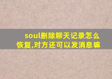 soul删除聊天记录怎么恢复,对方还可以发消息嘛