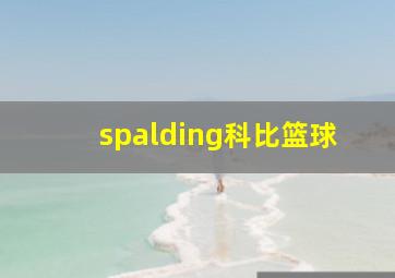 spalding科比篮球