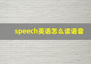 speech英语怎么读语音