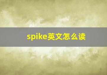 spike英文怎么读