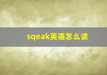 sqeak英语怎么读