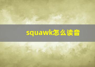 squawk怎么读音