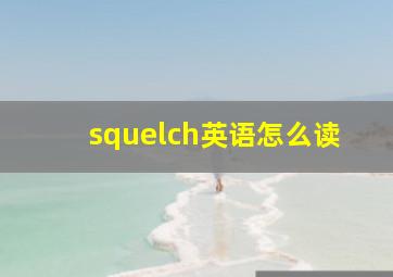 squelch英语怎么读